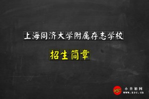 2021上海同济大学附属存志学校招生简章及收费标准