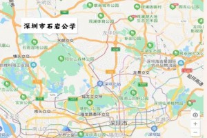 2021深圳石岩公学招生计划及收费标准