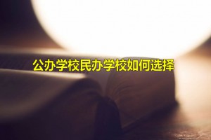 小升初公办学校民办学校如何选择，它们的区别是什么？