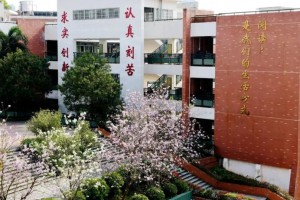 2021华师附中番禺学校小升初报读参考数据(班型+中考成绩)