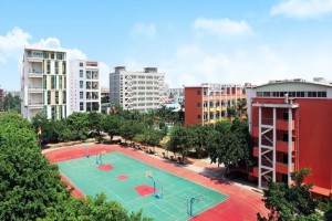 东莞市石碣新民学校2021年秋季插班生招生简章