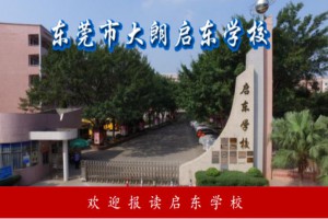 2021年东莞市大朗启东学校招生简章(小学+初中)