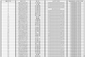 2021年上海中芯学校小升初电脑随机派位摇号录取名单