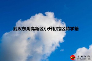 2021年武汉东湖高新区小升初跨区转学籍办理条件+办理时间与流程