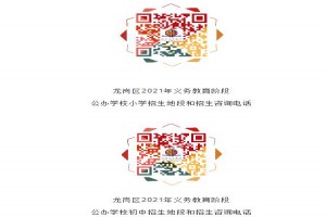 2021年深圳龙岗区秋季公办中小学转学插班申请指南