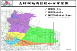 2021年合肥新站高新区初中学区范围(小升初划片范围一览)