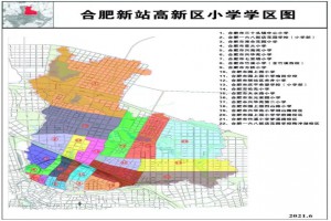 2021年合肥新站高新区小学学区范围(小学划片范围一览)