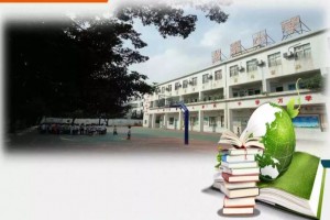 广州市白云区龙嘉小学收费标准(学费)及学校简介