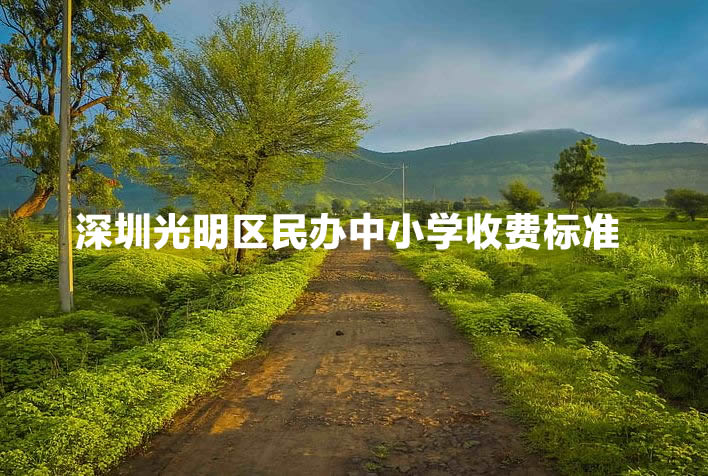 深圳光明区民办中小学收费标准.jpg