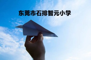 东莞市石排智元小学收费标准(学费)及学校简介