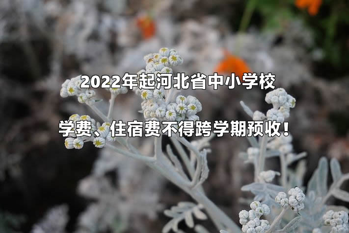 2022年起河北省中小学校学费、住宿费不得跨学期预收！.jpg