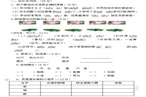 2021-2022年小学二年级上期语文期中考试试卷(含答案)