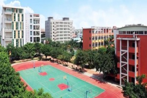 2022年东莞市石碣新民学校春季招生简章