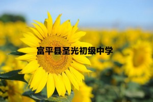 富平县圣光中学收费标准(学费)及学校简介