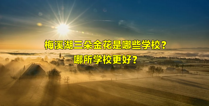 梅溪湖三朵金花是哪些学校？哪所学校更好？.jpg