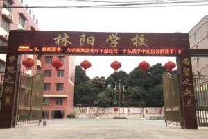 南宁市良庆区林阳学校收费标准(学费)及学校简介