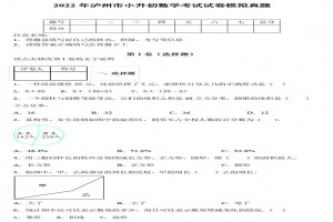 2022年泸州市小升初数学考试试卷模拟真题及答案
