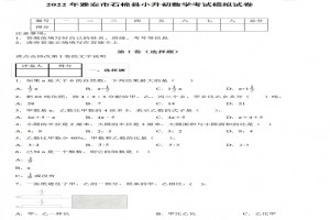 2022年雅安市石棉县小升初数学考试模拟试卷及答案