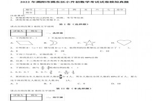 2022年揭阳市揭东区小升初数学考试试卷模拟真题及答案