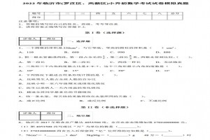 2022年临沂市(罗庄区、高新区)小升初数学考试试卷模拟真题及答案(人教