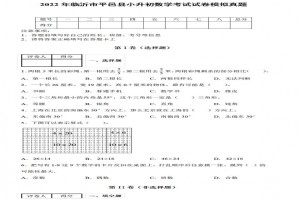 2022年临沂市平邑县小升初数学考试试卷模拟真题及答案(人教版)
