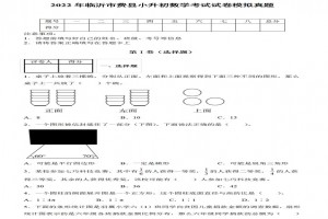 2022年临沂市费县小升初数学考试试卷模拟真题及答案(人教版)