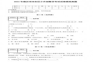 2022年临沂市河东区小升初数学考试试卷模拟真题及答案(人教版)