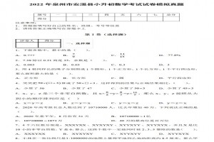 2022年泉州市安溪县小升初数学考试试卷模拟真题及答案(人教版)