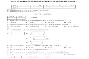 2021年安徽省芜湖市小升初数学考试试卷真题及答案(人教版)