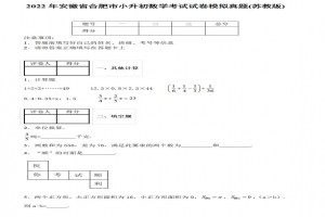 2022年合肥市小升初数学考试试卷模拟真题及答案(寿春中学,苏教版)