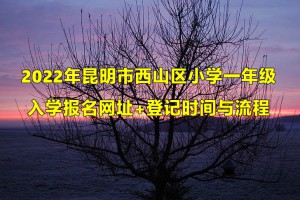 2022年昆明市西山区小学一年级入学报名网址+登记时间与流程