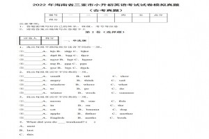 2022年海南省三亚市小升初英语考试试卷模拟真题及答案