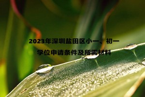 2023年深圳盐田区小一、初一学位申请条件及所需材料