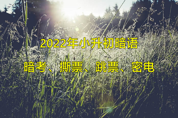 2022年小升初暗语：暗考、撕票、跳票、密电.jpg