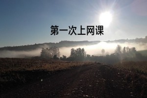 第一次上网课作文500字(关于网课的作文)