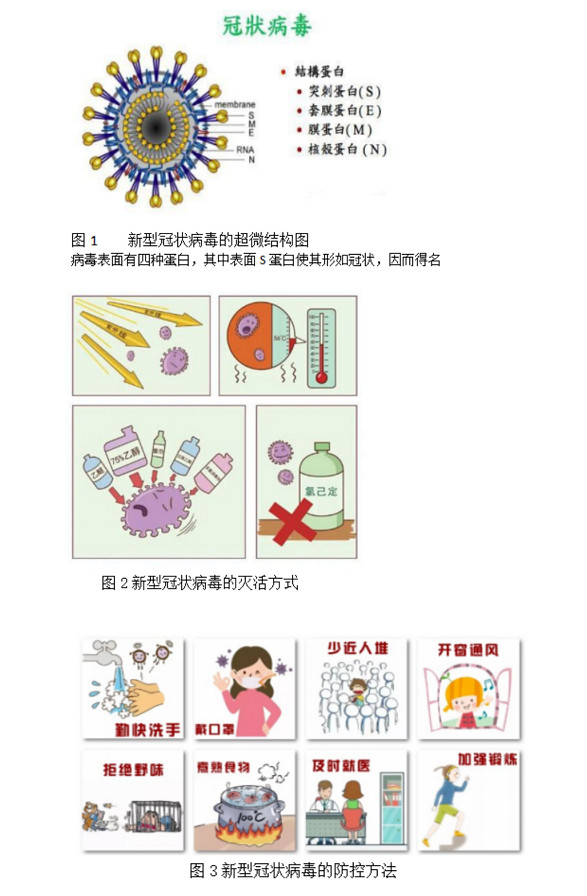 新型冠状病毒.jpg