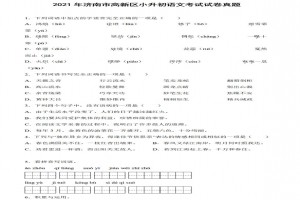 2021年济南市高新区小升初语文考试试卷真题