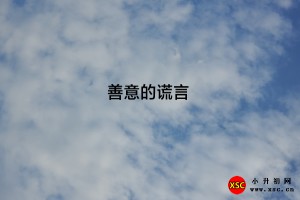 《善意的谎言》阅读理解题及答案