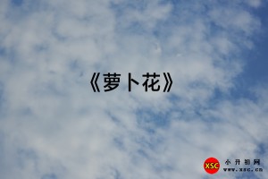 《萝卜花》阅读理解题及答案