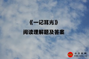 《一记耳光》阅读理解题及答案