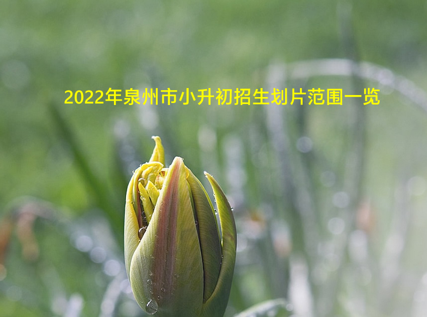 2022年泉州市小升初招生划片范围一览.jpg