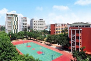 2022年东莞市石碣新民学校秋季招生简章(小学+中学)