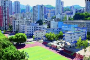 2022年攀枝花市实验学校招生简章及划片范围(小学、初中)