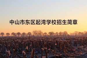 2022年中山市东区起湾学校招生简章(附收费标准)