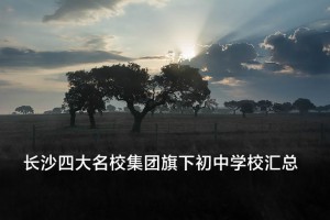 长沙四大名校集团旗下初中学校汇总