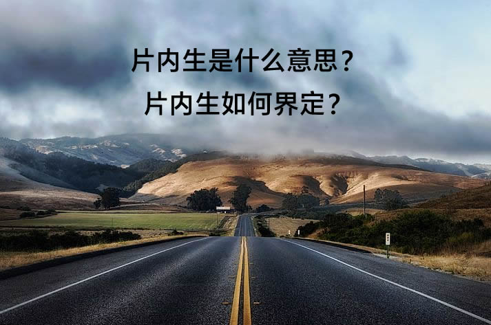 片内生是什么意思？片内生如何界定？.jpg