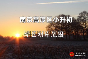 2022年南京高淳区小升初招生划片范围一览