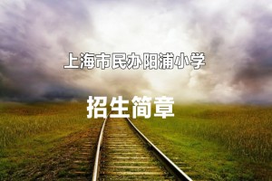 2022年上海市民办阳浦小学招生简章(附收费标准)