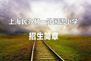 2022年上海民办打一外国语小学招生简章(附收费标准)