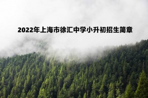 2022年上海市徐汇中学小升初招生简章